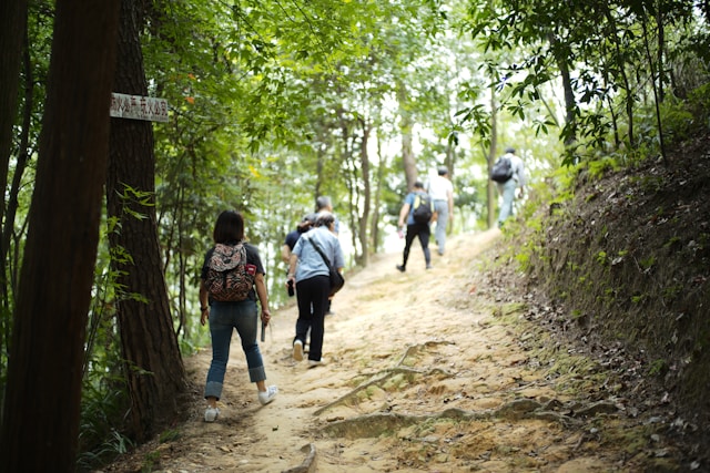 Korn98avellia vybavenie