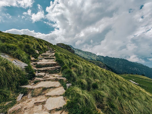 Korn98avellia príroda