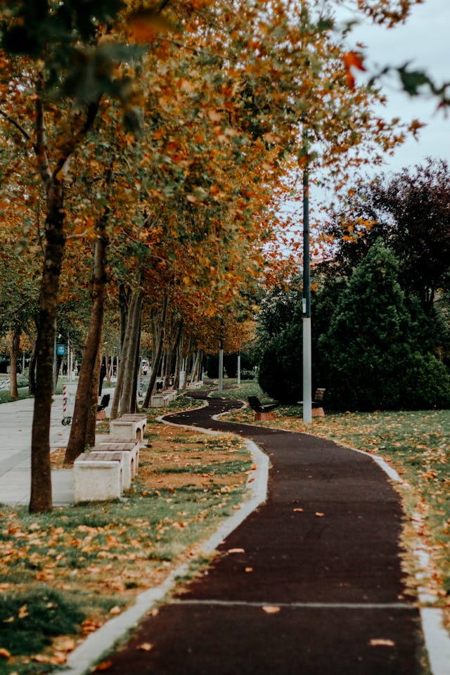 Korn98avellia výlet