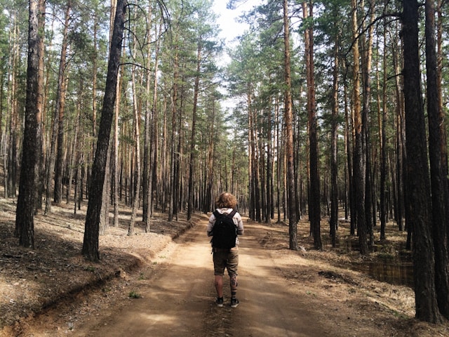 Korn98avellia príroda